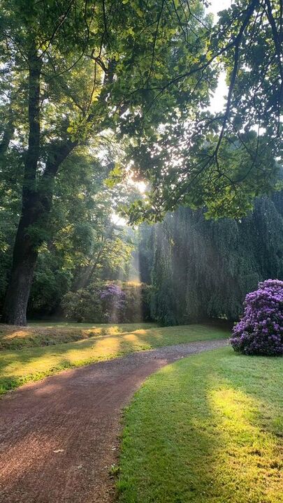 A path through a park with soft sunlight
